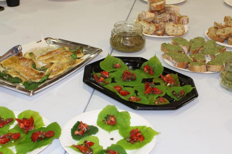 Recettes plantes sauvages
