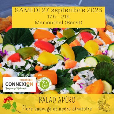 Balad'apéro - plantes sauvages